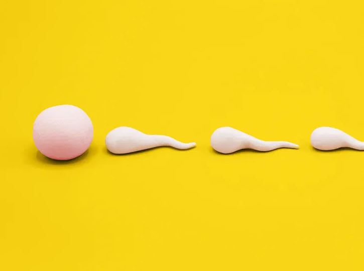 sperm volume